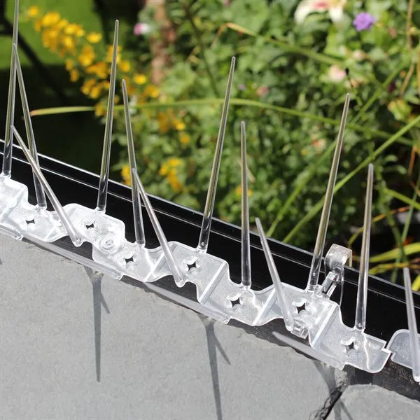 A Guide to Physical Bird Deterrents: Netting, Spikes, and Wire Systems