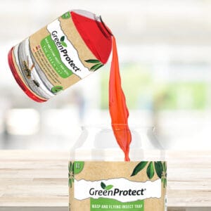 green protect wasp and fly bait